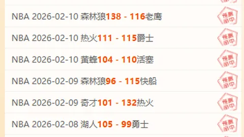 狂欢之夜：国家队夺冠，伊万欢颜绽放。