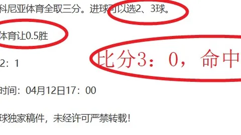 俄甲赛场辛历克首战分析：进攻手段不足