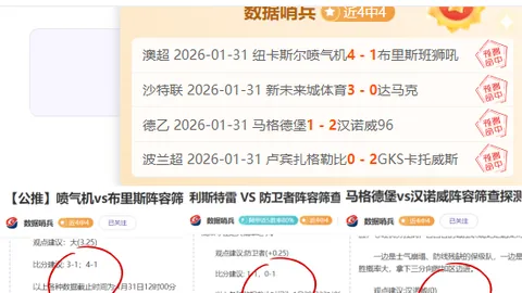2025年日本J1联赛赛程总览